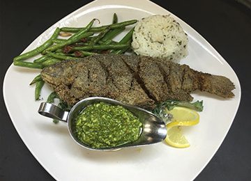 Rainbow Trout